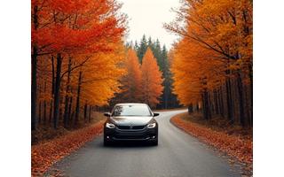 Car driving through a forest vibrant with red and gold autumn leaves, highlighting a picturesque fall foliage car rental tour.